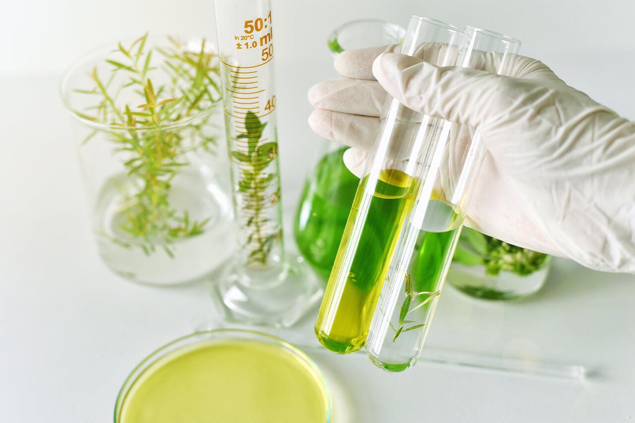 Prebiotics In Skincare