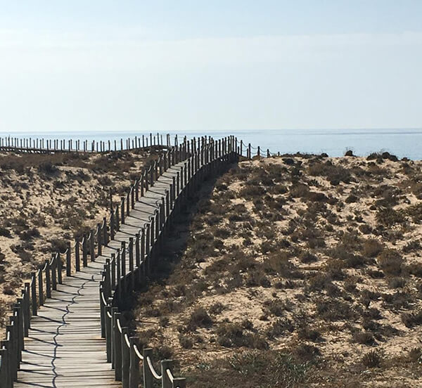 Beach view