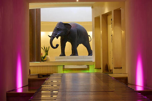 UTOPIA SPA POOL