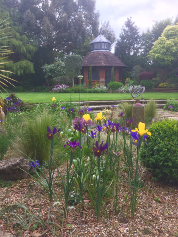 Liz and Mark's gorgeous garden garden